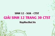 Giải Sinh 12 trang 30 Chân trời sáng tạo SGK